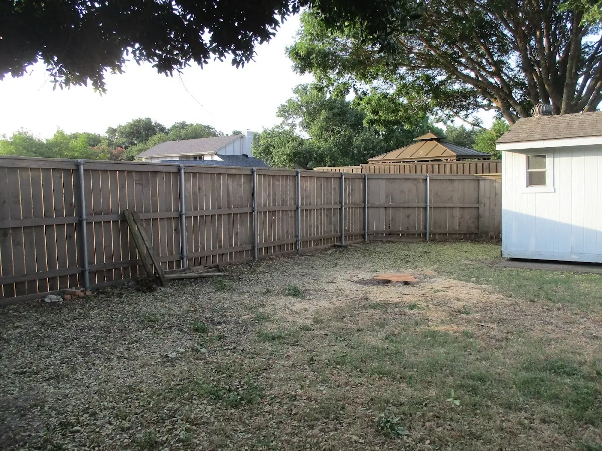 Cleared yard after professional tree removal in New Cumberland